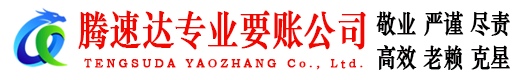 天桥追债公司